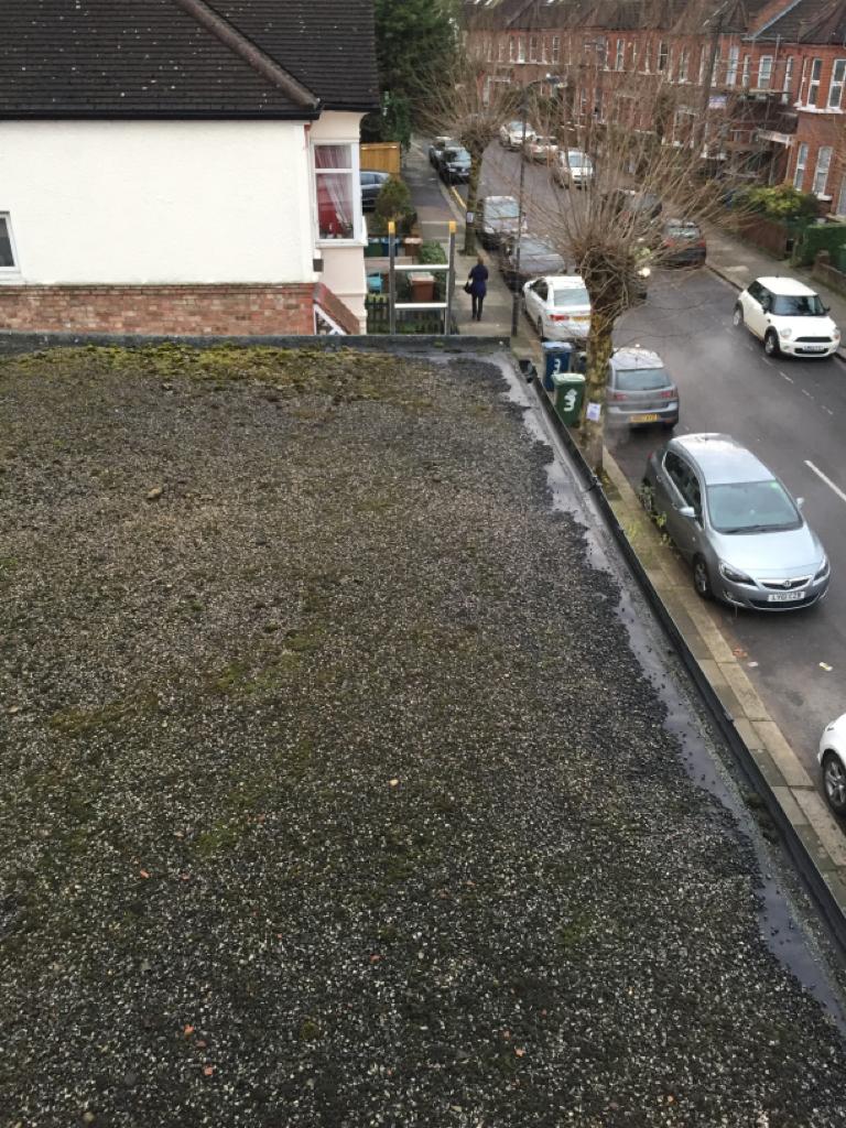flat roof