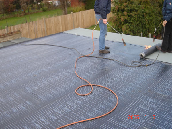 flat roof