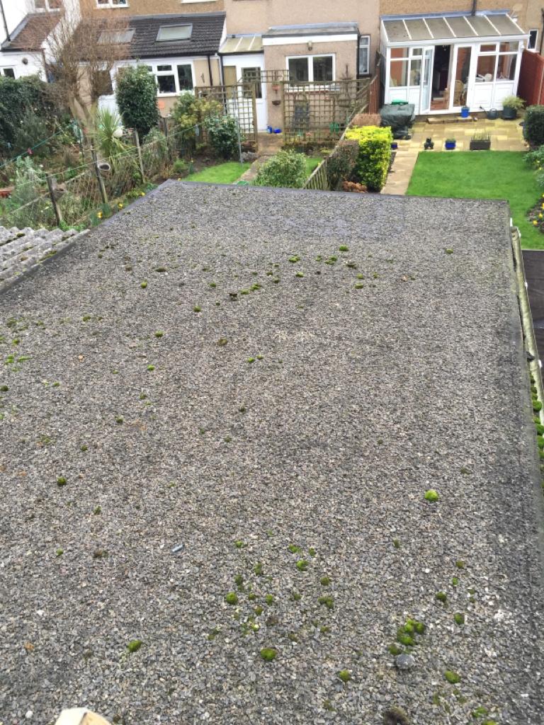 flat roof